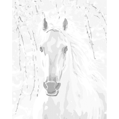 ZUTY Bodkovanie - BIELY KÔŇ Rámovanie: bez rámu a bez vypnutia plátna, Rozmer: 40x50 cm