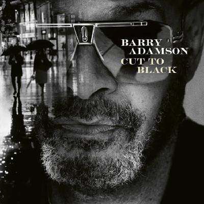 Barry Adamson - Cut To Black (LP) (5051083199407)