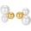 Ornamenti ORT300064