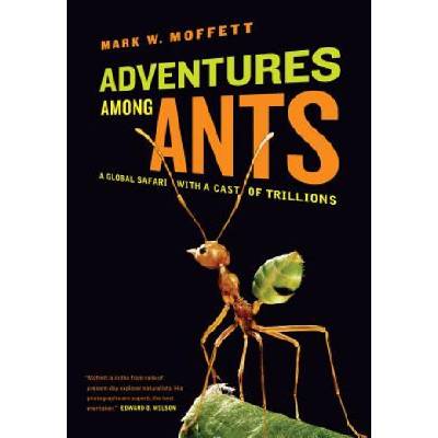 Adventures Among Ants M. Moffett