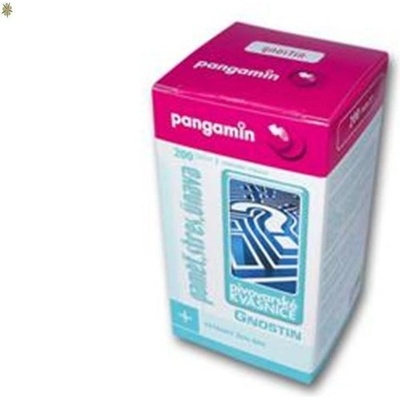 Pangamin Gnostin 200 tablet