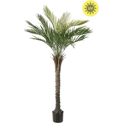 Umelá palma Phoenix vonkajšie, 150cm
