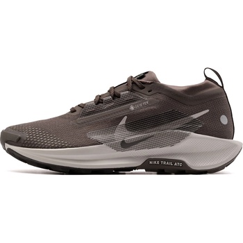 Nike Pegasus Trail 5 Gore-Tex