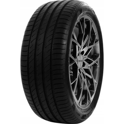 Delinte DS2 225/55 R18 102W