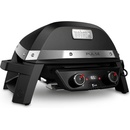 Weber Pulse 2000