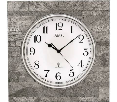 AMS 5568