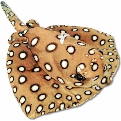 rejnok 30 cm