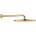GROHE 26066GL0 Rainshower Cosmopolitan 310