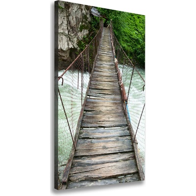 Vertikálny foto obraz canvas Visiace most 50x100 cm