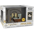 Funko Pop! Diorama Harry Potter Anniversary Draco Malfoy