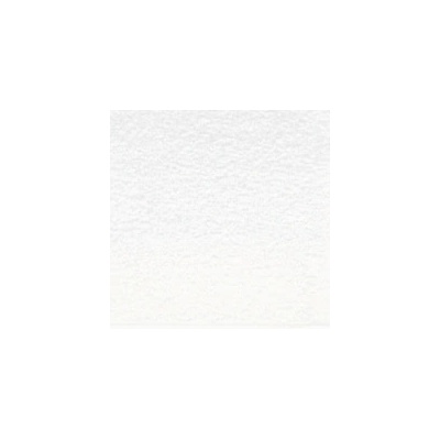 Derwent Pastel v tužce P720 titanium white