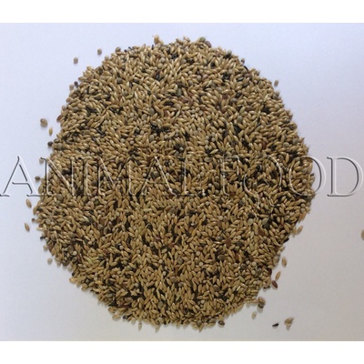 Deli Nature 54 Canaries Breeding With White Perilla 4 kg