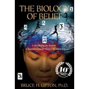 Biology of Belief | Bruce Lipton (ISBN: 9781781805473)