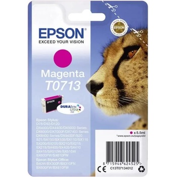 Epson T0713