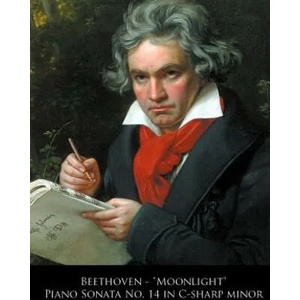 Beethoven - "Moonlight" Piano Sonata No. 14 in C-sharp minor | Ludwig van Beethoven, L Van Beethoven (ISBN: 9781499704754)