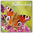 Butterflies Square Butterfly Wall 16 Month 2024