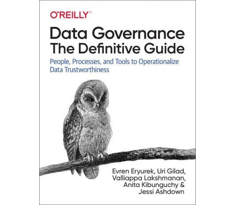 Data Governance: The Definitive Guide