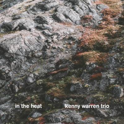 FIRE IN THE ATTIC: CUM GRANO SALIS CD