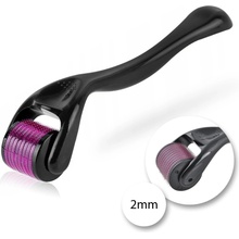Derma Roller 2 mm 540 ihiel