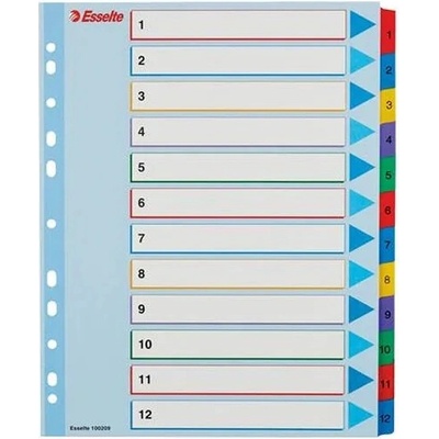ESSELTE Register, laminovaný kartón, A4 Maxi, 1-12, prepisovateľný, ESSELTE