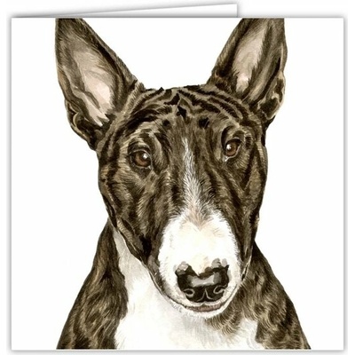 Přání AC-90 Waggy Dogz