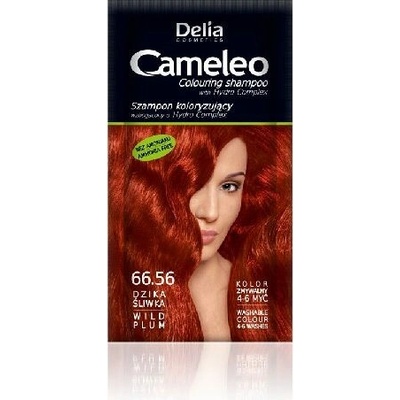 Šampon Delia Cosmetics Cameleo Coloring 66,56 planá švestka