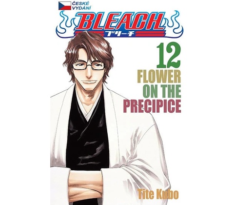 Bleach 12