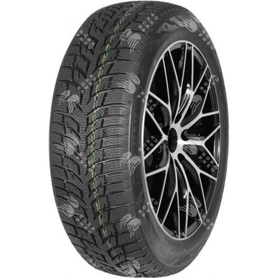 Autogreen Snow Chaser 2 AW08 205/50 R17 93H