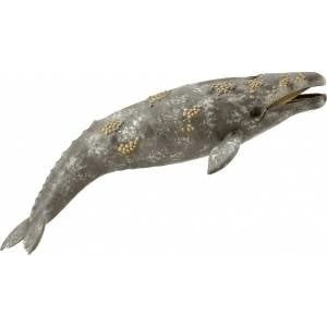 CollectA GRAY WHALE Figure