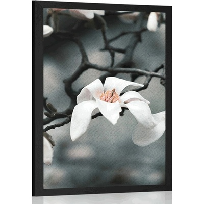 Plakát probouzející se magnolie - 20x30 silver