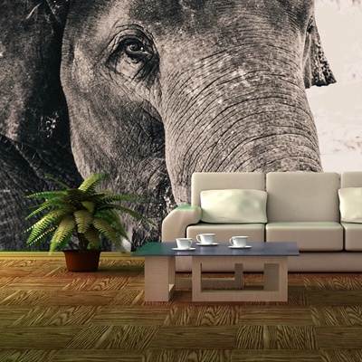 Sablio Tapeta Slon, rozmery 336x220 cm