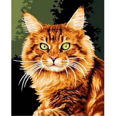 Norimpex Diamantové malování Zrzavá kočka 30 x 40 cm