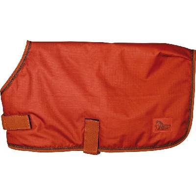 Dog rug WI22 chili