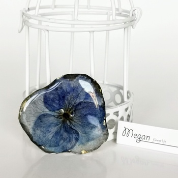 Meganflo Хортензия синя