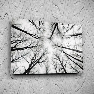 Art gift Стъклено АРТ пано - Възходът на Природата