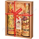 Kitl Syrob Zázvorový a Jablko a křížaly 2 x 0,5 l