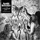 Before the Blitzkrieg - The Archives - Split Image CD