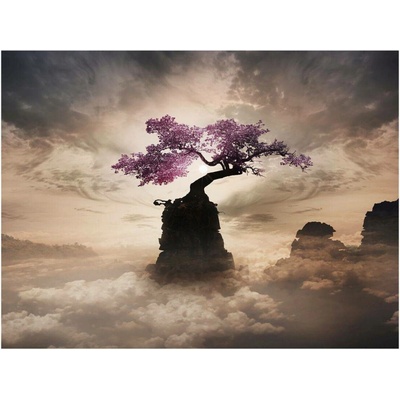 Obraz na plátně Sakura, 60 × 80 cm CA-13939