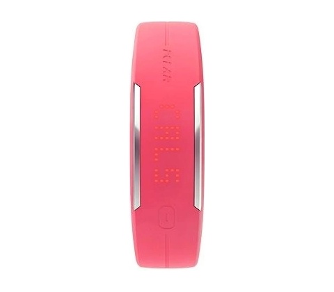 POLAR Loop 2