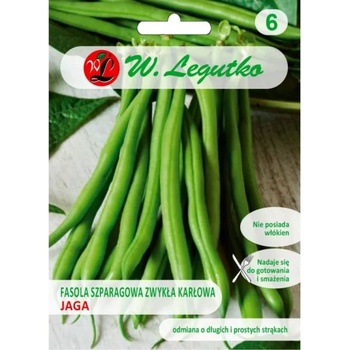 W. Legutko Jaga зелени шушулки джуджета зелен фасул - средно ранни