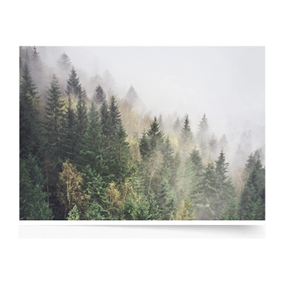 Plagát Les: Wild 40x30 - 78032
