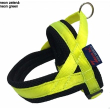 Zero DC Postroj pro flyball