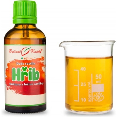 Bylinné kapky Hríb kvapky Duša rastlín tinktúra 50 ml