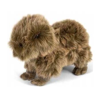 One for Fun Capybara