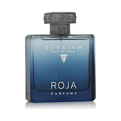 Roja Parfums Elysium Pour Homme parfémovaná voda pánská 100 ml