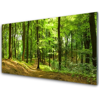 Obraz na akrylátovom skle Les príroda 100x50 cm