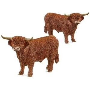 Schleich Farm World Hochland Bulle