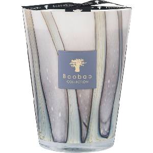 Baobab Collection Woods Broceliande Ароматна свещ, 24 см (MAX24WBR)
