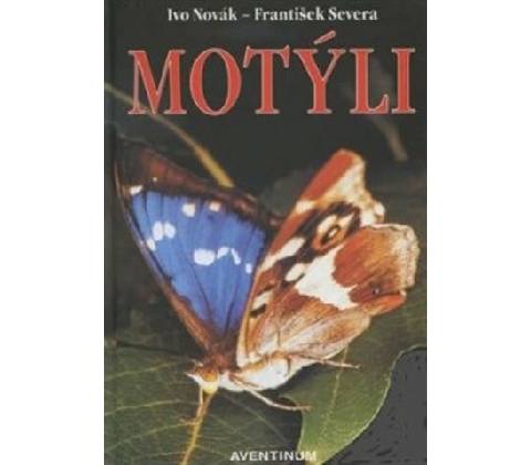 Motýli