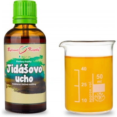 Bylinné kapky Jidášovo ucho tinktura 50 ml